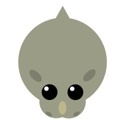 Rhino Multiskin- : mopeio