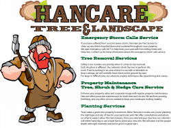 Services | Hancare