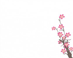 Sakura Flower PNG by HanaBell1 on DeviantArt