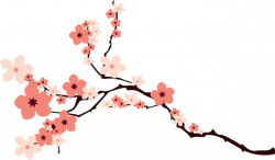 Cherry Blossom PNG HD Transparent Cherry Blossom HD.PNG Images ...