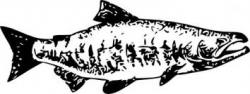 Aboriginal salmon clipart image - ClipartAndScrap