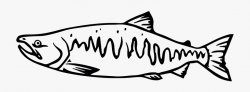 Chum Salmon Png - Chinook Salmon Black And White #234025 ...