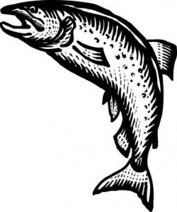 17 Salmon Black And White Icons Images - Salmon Clip Art ...