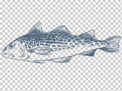 Sardine Salmon Cod Fish Products PNG, Clipart, Alaska ...