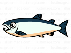 Free Salmon Clipart, Download Free Clip Art on Owips.com