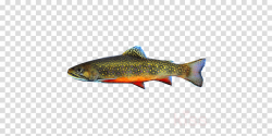 Rainbow Cartoon clipart - Fish, transparent clip art