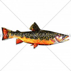 Brook Trout | Production Ready Artwork for T-Shirt Printing