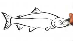 How to Draw a Salmon Fish - Tribal Tattoo Design Style ...