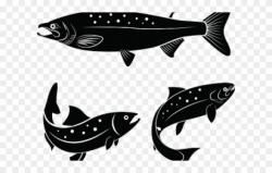 Salmon Clipart Fish Body - 鮭魚 卡通 - Png Download ...