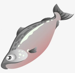 28 Collection Of Cooked Fish Clipart Png - Salmon Clipart ...