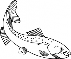 Salmon clipart free images wikiclipart - ClipartPost