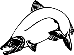 Chinook salmon Clip art - others png download - 1000*744 ...