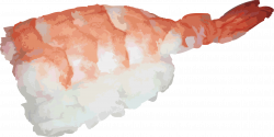 ebi nigiri sushi Icons PNG - Free PNG and Icons Downloads
