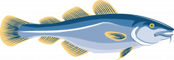 Cod Fish Clipart at GetDrawings.com | Free for personal use Cod Fish ...