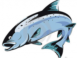 Free Salmon Clipart, Download Free Clip Art on Owips.com