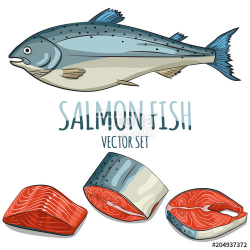 Salmon fish, steak, fillet and slice vector set. Cartoon ...
