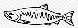 Salmon Clipart Tiny Fish - Pacific Salmon Black And White ...