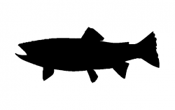 Trout Silhouette Salmon Clip art - Steelhead Cliparts png ...