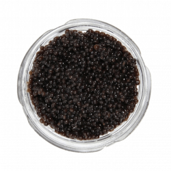 Jar Of Caviar transparent PNG - StickPNG