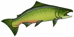 Salmon Clipart | Clipart Panda - Free Clipart Images