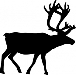 Free Image on Pixabay - Reindeer, Animal, Pole, North | Pinterest ...