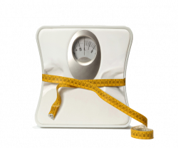 PNG Weight Scale Transparent Weight Scale.PNG Images. | PlusPNG