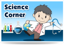 Need professional help to set up a science corner for your ...