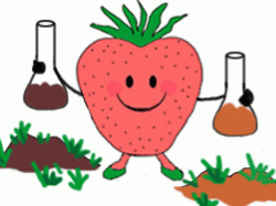 Free Scientist Clipart observation, Download Free Clip Art ...