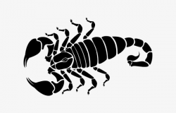 Black Scorpion, Black, Tattoo, Scorpion PNG Image and Clipart for ...