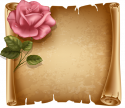 Paper Scroll Clip art - Flowers background 800*697 transprent Png ...