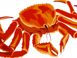 Crab clipart snow crab ~ Frames ~ Illustrations ~ HD images ~ Photo ...