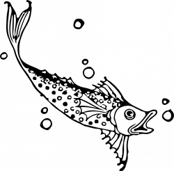 Clipart - fish