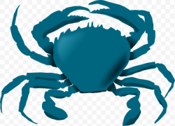 Chesapeake Blue Crab Clip Art, PNG, 600x432px, Crab, Animal ...