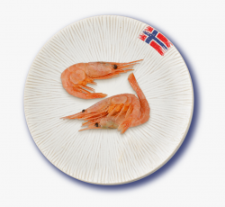 Seafood Clipart Brine Shrimp - Botan Shrimp #281872 - Free ...