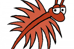 Shrimp Cartoon Drawing | Free download best Shrimp Cartoon ...
