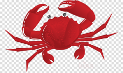 Crab Clipart Chilli Crab - Crab Clip Art , Transparent ...