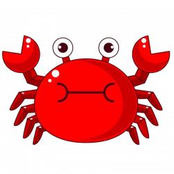 Chilli crab Cartoon Illustration - Cartoon crab 800*800 transprent ...