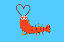 Happy shrimp GIFs - Get the best GIF on GIPHY