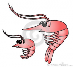 Pink Shrimp Cartoon Stock Photos, Images, & Pictures – (40 ...