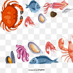 Seafood Png, Vector, PSD, and Clipart With Transparent ...