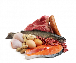 Fish And Meat PNG Transparent Fish And Meat.PNG Images. | PlusPNG