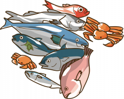 Marine Biology,Seafood,Artwork PNG Clipart - Royalty Free ...