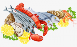 Fresh Seafood, Fresh, Seafood, Fish PNG #54709 - PNG Images ...