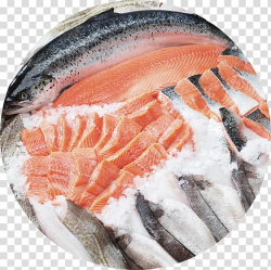 Frozen food Fish Defrosting Seafood Freezing, fish ...