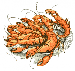 Free Seafood Cliparts, Download Free Clip Art, Free Clip Art ...