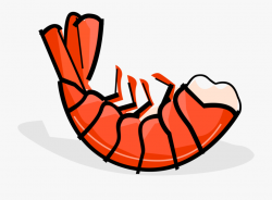 Seafood Clipart Prawn - Clip Art Shrimp Cooked #281408 ...