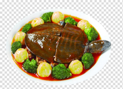 Trionychidae Chinese softshell turtle Eating Food Meat ...