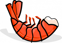 Prawn Shrimp Shellfish Seafood - Vector Image