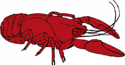 Crustacean Clipart Marine Animal Free collection | Download and ...