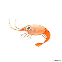 Red shrimp cartoon icon. Seafood clipart isolated on white ...